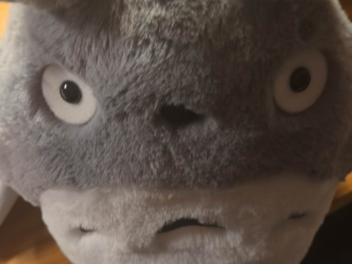 GS Totoro