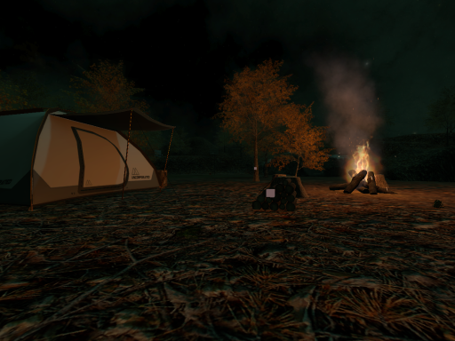 sunny_forest （night）