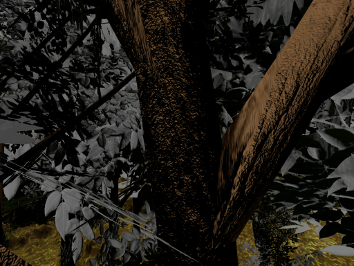 Forrest montains