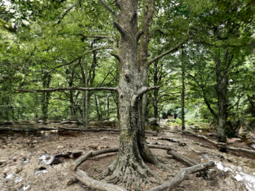 Urederra Forest - Gaussian Splattening