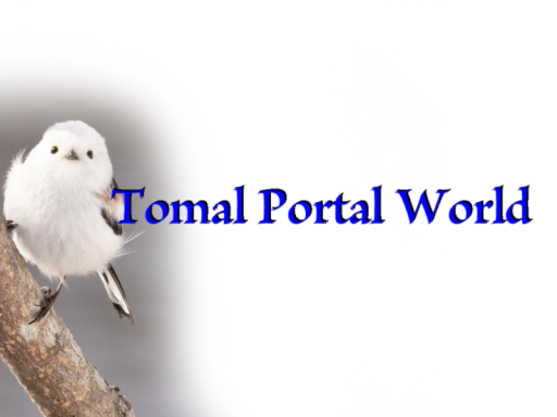 Tomal Portal World