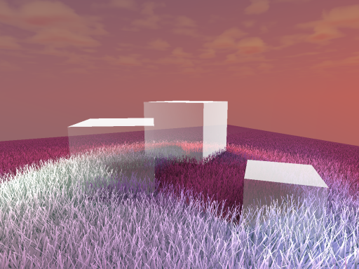 Ava's Sunset Field