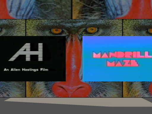 Mandrill Maze