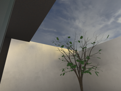 rieephome wip