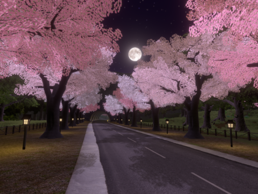 Sakura mountain road （Night） - 桜の道 （夜）