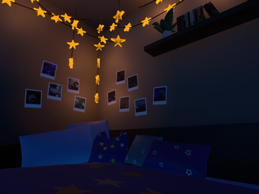 Starry Night Sleep