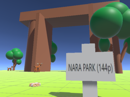 NARA PARK （144p）