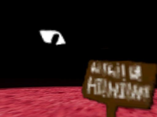 Silly's dream․․