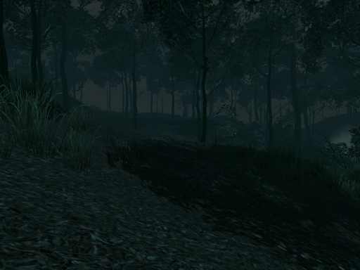 Night forest