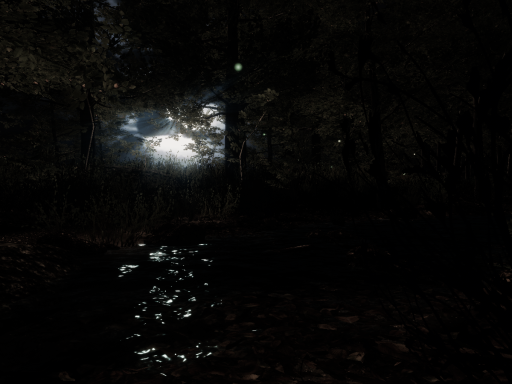 Archive˸ Moonlit Grove