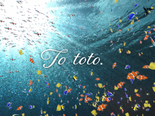 To toto ․