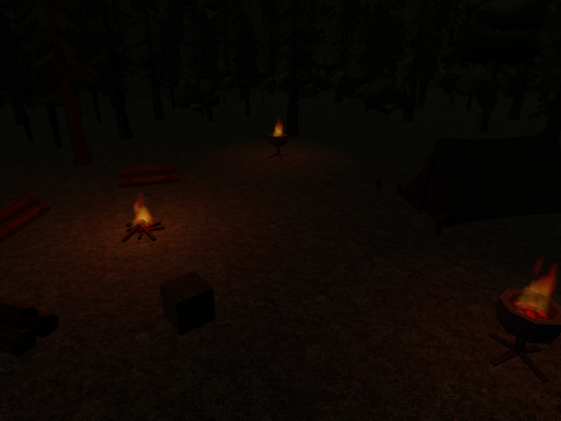 Forest Camp Fire