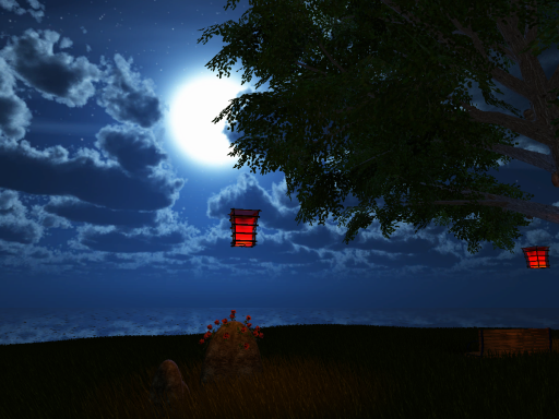Lonely tree