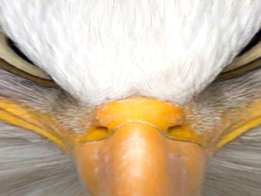 MURICA
