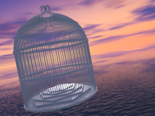 Birdcage for two