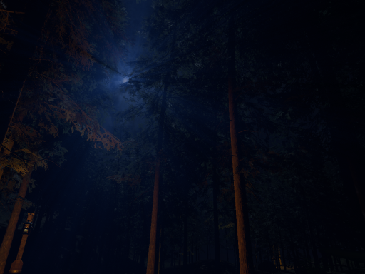 Samwell forest