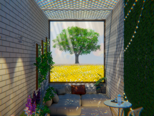 Bloom
