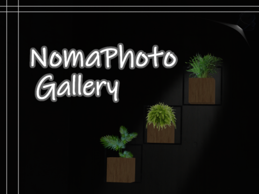 NomaPhoto Gallery