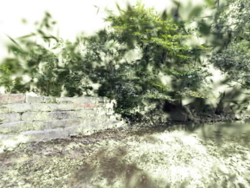 Don River Steps
