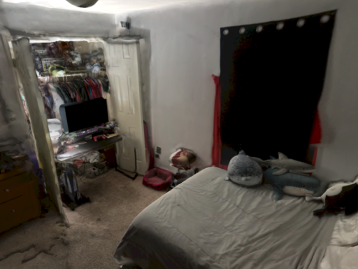 Snuffy's Room