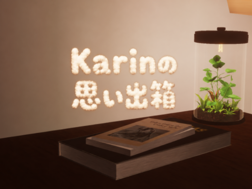 Karinの思い出箱