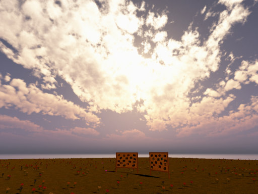 Field of Memoria