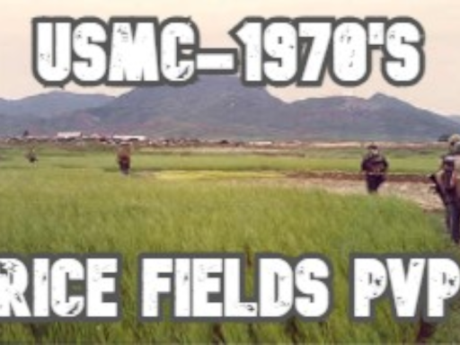 Rice Fields