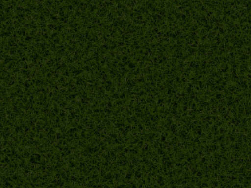 Grass Land
