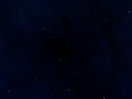 Forest night walk