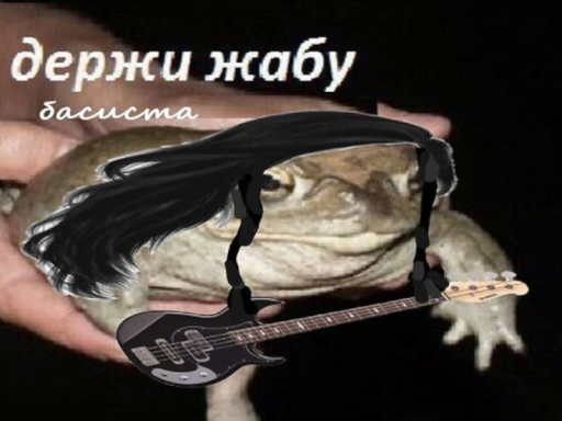 komnata