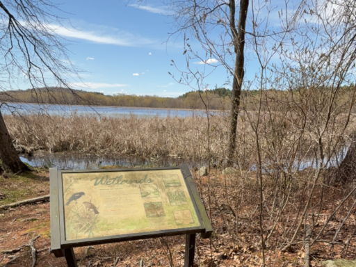 Gaussian Wetlands