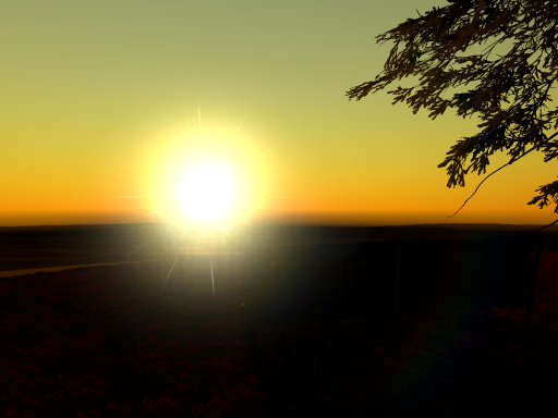 Sunset