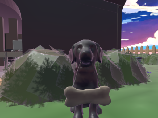 furry shelter