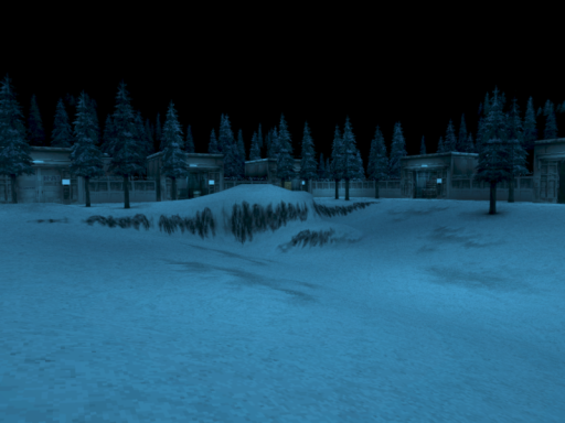 Snowfield