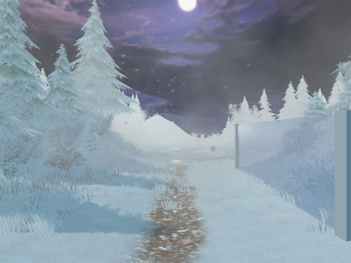 Winterland