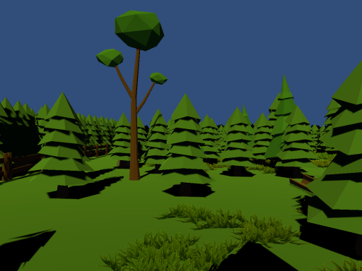 Forest hangout camp