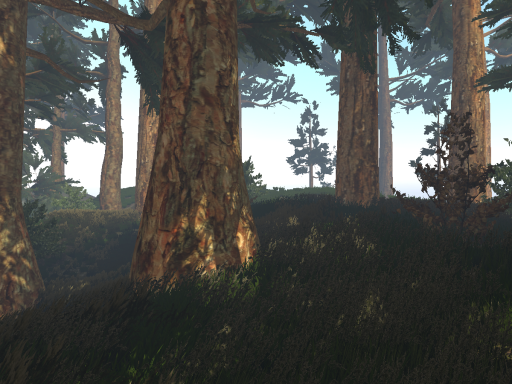sunny forest
