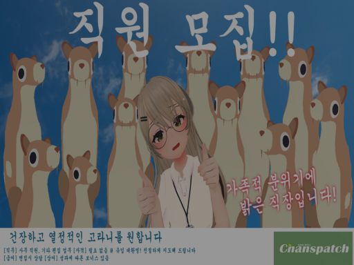 챤스패치
