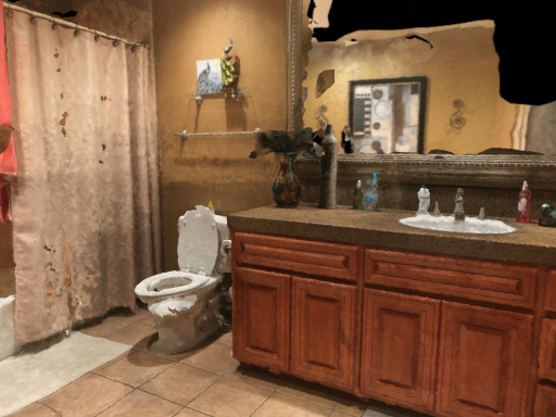my bathroom irl