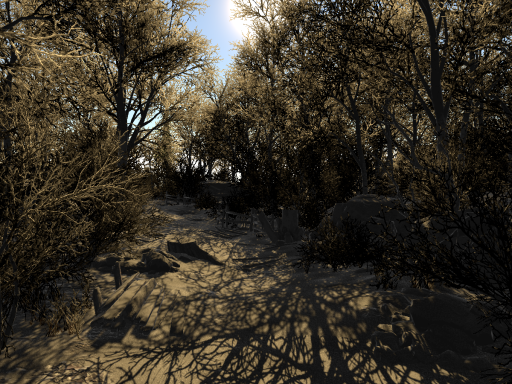 Winter Forest