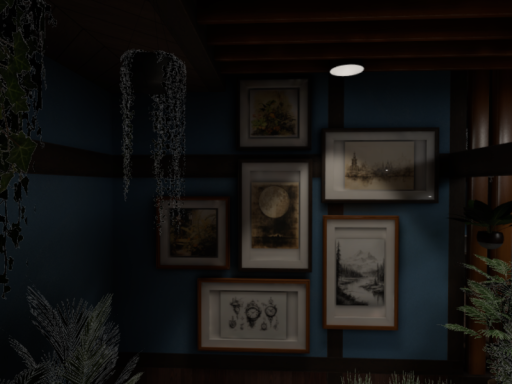 狐巷Fox's bar 1․0