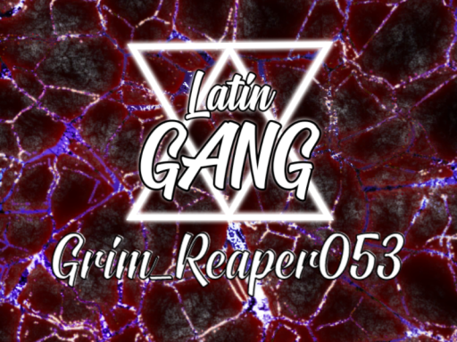 Grims LTG Avatar World