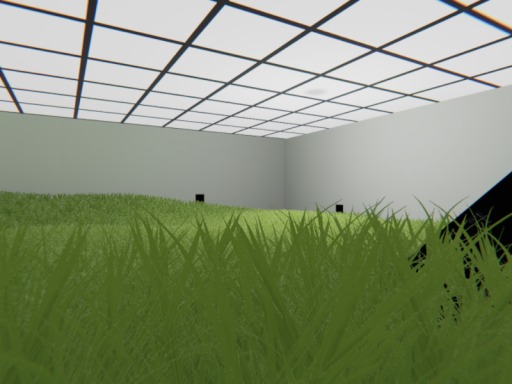 Empty grass office