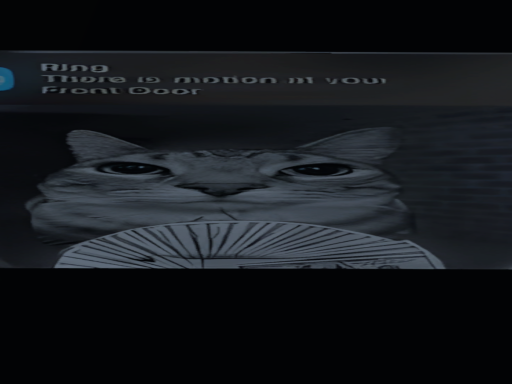 kamino but cursed