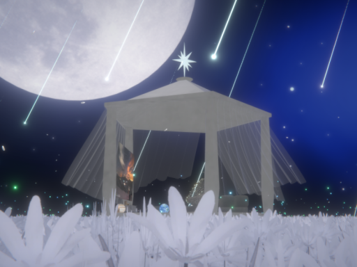 星降る夜