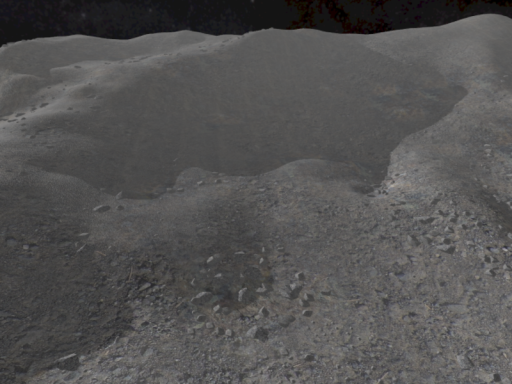 The Moon