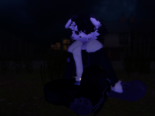 Shadow's avatar world （NEW AVI）