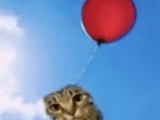 Homer gubby cat balloon land