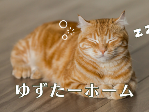 ゆずたーホーム２