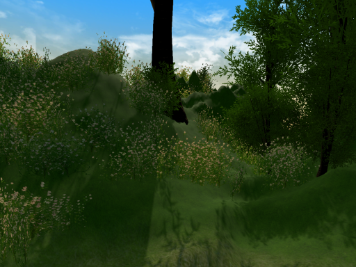 Little Meadow